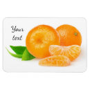 Buscar mandarín imanes Mandarina