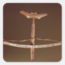 Buscar esquimal pegatinas Inuit