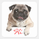 Buscar pug dog pegatinas Cachorro