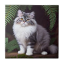 Buscar gato persa azulejos Animal