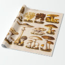 Buscar seta papel de regalo Vintage
