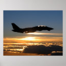 Buscar tomcat posters Aviones
