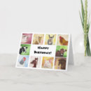 Buscar animales del corral tarjetas Granja