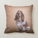 Buscar basset hound cojines Animales