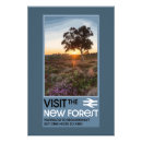 Buscar nueva inglaterra posters General y unisex