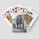Buscar africa barajas de cartas Elefante africano