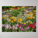 Buscar pleno posters Naturaleza