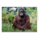 Buscar mantra postales Divertido