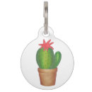 Buscar cactus collares Verde