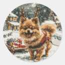 Buscar perro de pomerania pegatinas Cachorro