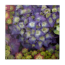 Buscar juego de mesa azulejos Prometida