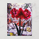 Buscar amaryllis postales Jardín