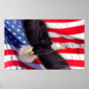 Buscar águila americana posters Patriotismo