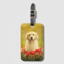 Buscar tirador etiquetas para maletas Lindo