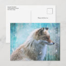 Buscar peludas postales Naturaleza