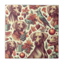 Buscar weimaraner azulejos Cachorro