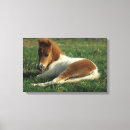 Buscar miniaturas lienzos Foto