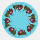 Buscar mariquita pegatinas Insecto