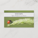Buscar ladybug oficina escuela Rojo