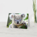 Buscar amor de la koala tarjetas General y unisex