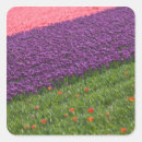 Buscar industrias pegatinas Color