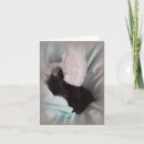 Buscar rainbow bridge postales Simpatía