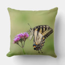 Buscar mariposa cojines Entomología