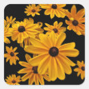 Buscar negro observado pegatinas Floral