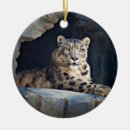 Buscar peligro adornos Leopardo