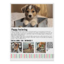Buscar donaciones posters General y unisex