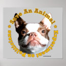Buscar los derechos de los animales posters Perro