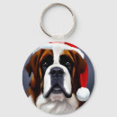 Buscar saint bernard accesorios Adorable