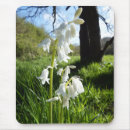Buscar wildflowers electronica Plantas