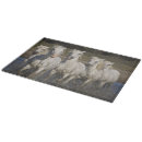 Buscar caballo blanco tablas cortar Semental