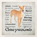 Buscar galgos posavasos Animal