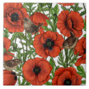 Buscar amapolas blancas azulejos Flores silvestres