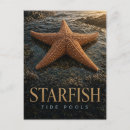 Buscar estrella de la vida postales Para todos