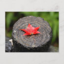 Buscar registro postales Otoño