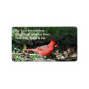Buscar cardinal etiquetas Naturaleza