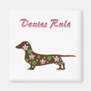 Buscar doxie imanes Perrito caliente