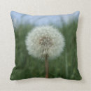 Buscar león cojines Amortiguador