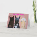 Buscar chistes tarjetas Para ella
