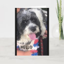 Buscar fabulous tarjetas General y unisex