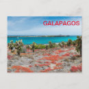 Buscar galápagos postales Vacaciones
