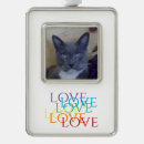 Buscar rainbow pet General y unisex