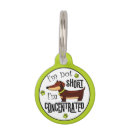Buscar dachshund mascotas Animal