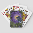 Buscar bicho barajas de cartas Divertido