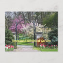 Buscar árbol de tulipán postales Fotografía