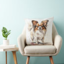 Buscar papillon cojines Cachorro