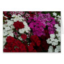 Buscar mordedura tarjetas Rojo